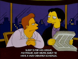 season 7 troy mclure GIF