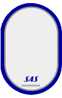 Flying Northern Lights Sticker by SAS - Scandinavian Airlines