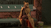 GIF by Saturday Night Live