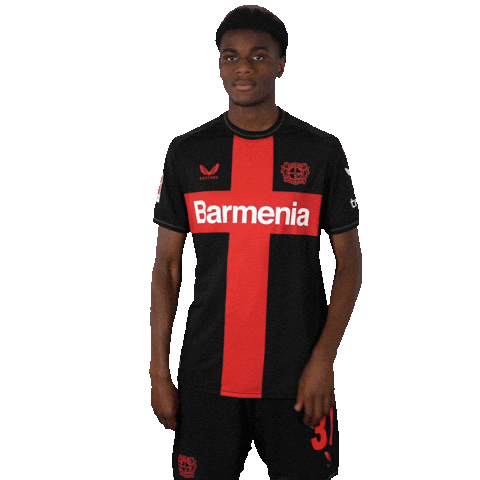 Posing Bayer 04 Sticker by Bayer 04 Leverkusen