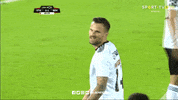 sl benfica slbgifs GIF by Sport Lisboa e Benfica