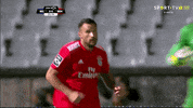 sl benfica slbgifs GIF by Sport Lisboa e Benfica