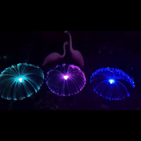 OneTreeHydroponics giphygifmaker solar garden lights GIF