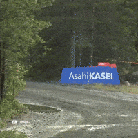 Motorsport Splash GIF by FIA World Rally Championship