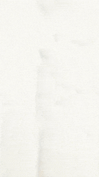 Cat Kitty GIF by Youtooz