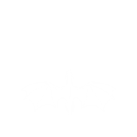 Visa Card Bat Sticker by Fampay India
