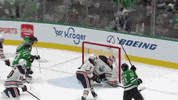 Excited Lets Go GIF by Dallas Stars