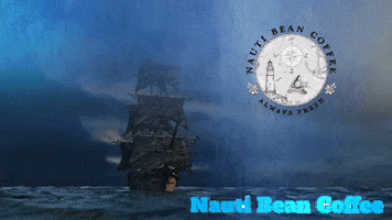 Ship Pirate GIF by Nauti Bean Coffee