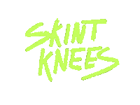 Party Festival Sticker