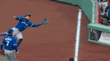 Blue Jays Baseball GIF by Toronto Blue Jays