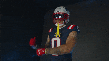 Football Celebration GIF by New England Patriots