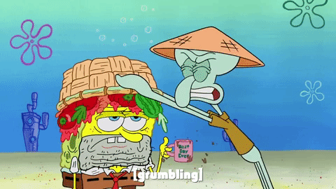 season 9 GIF by SpongeBob SquarePants