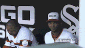 cws GIF by MLB