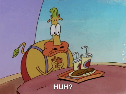 rockos modern life nicksplat GIF