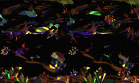 Sunla crystal sparkles sparkly crystals GIF