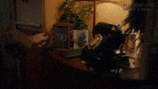 Christmas Eve GIF by All Creatures Great And Small