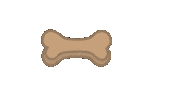 Dog Cookies Sticker by zoopeez