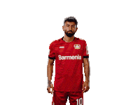 I Want You Werkself Sticker by Bayer 04 Leverkusen