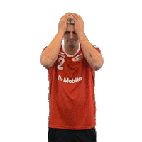 swisshandball_official no omg handball shame Sticker