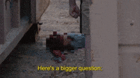 A Bigger Question
