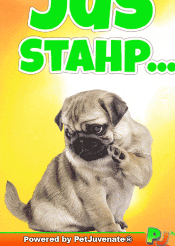 PetJuvenate petjuvenate henlo hooman fren love rescue dogs treatos and woofer for pupper GIF