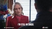 Episode 4 Reaction GIF by Law & Order