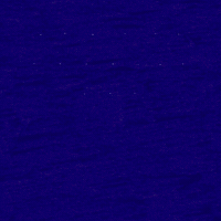 Vote Voting GIF by INTO ACTION