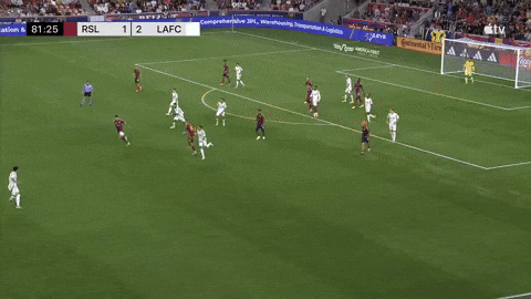 qwerpoiu22ppop giphyupload GIF