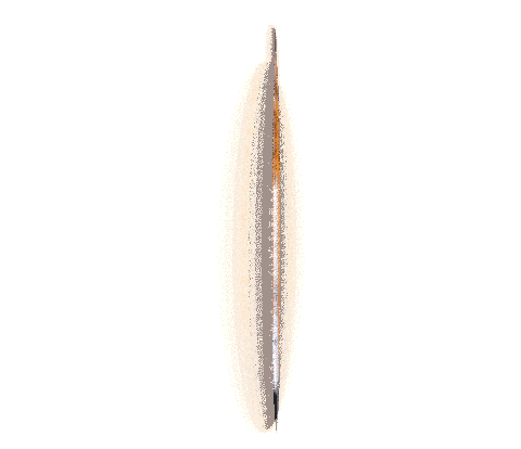 Laura Idk Sticker by ESPN