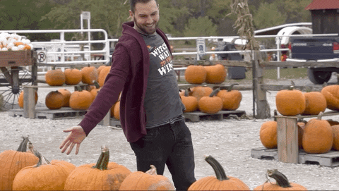 Celebrity gif. Content creator Trey Kennedy euphorically runs into a pumpkin patch and gleefully looks at the pumpkins on display.