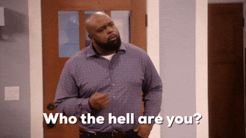 Who The Hell Are You?