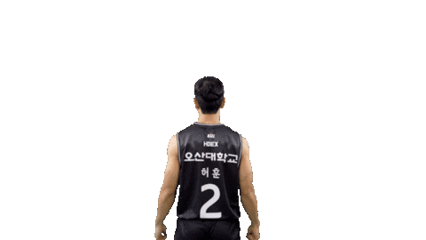 ktsonicboom_official giphyupload basketball king kbl Sticker