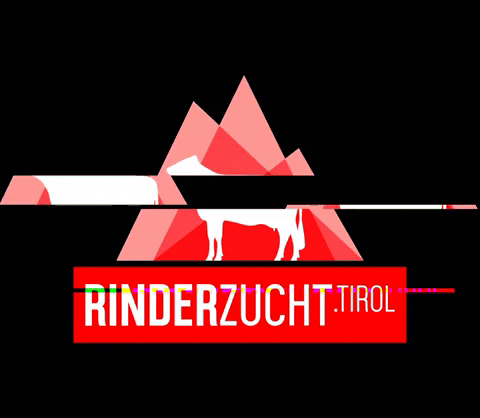 Rinderzucht_Tirol giphygifmaker tirol bauer kuh GIF