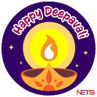 Celebration Festival Sticker by NETS