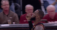 Celebrating Lebron James GIF by ESPN