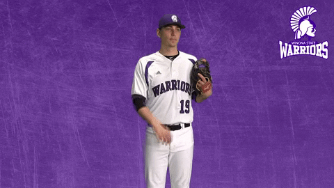Baseball Warriors GIF by WinonaStateATH