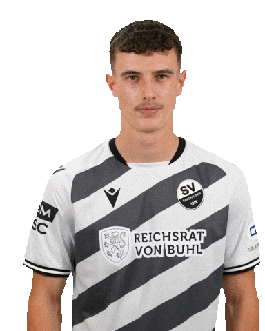 3Liga Sticker by SV Sandhausen
