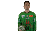 Handball-Bundesliga Sport Sticker by LIQUI MOLY HBL