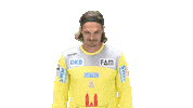 Handball-Bundesliga Handball Sticker by LIQUI MOLY HBL