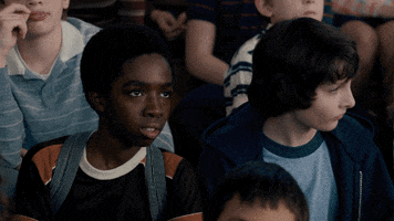 strangerthings season 1 stranger things mike lucas GIF
