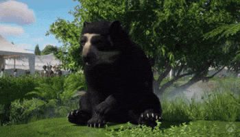 Bear Scratch GIF by Xbox