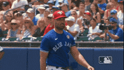 Regular Season Sport GIF by MLB