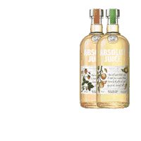 happy party Sticker by Absolut Vodka