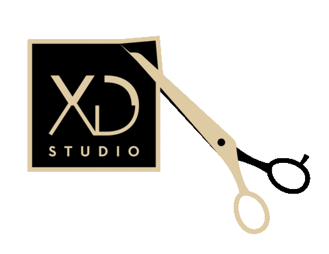 xdstudiogr giphyupload onelove xdstudio sunnywin Sticker