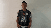 Tejuroqueteamo Elunicoenmicorazon GIF by Club Pachuca Tuzos