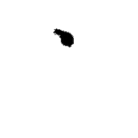 Arrow Sticker by Farmacy Beauty