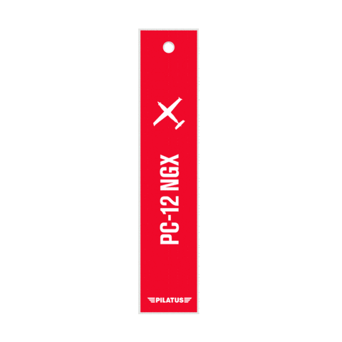 Airplane Flight Sticker by Pilatus Aircraft