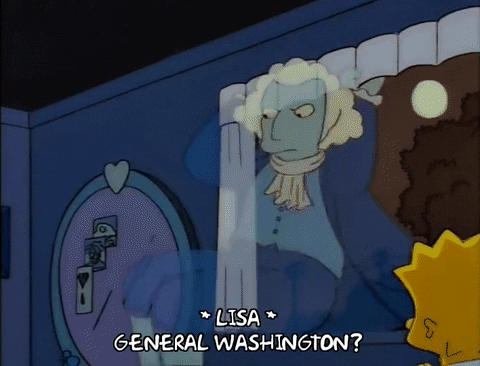 george washington lisas brain GIF