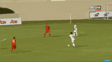 andres flores soccer GIF by New York Cosmos