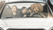 flanderscompany car voiture cindy gringo GIF